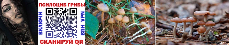 Псилоцибиновые грибы Magic Shrooms  наркотики  сайты даркнета состав  Нея 