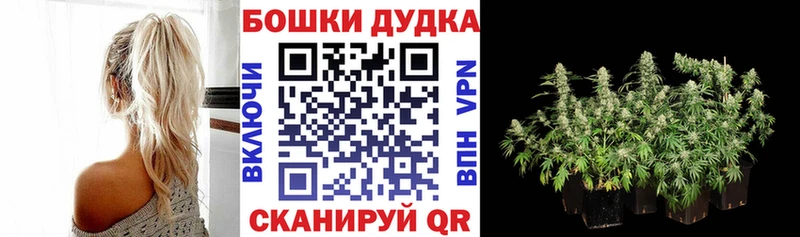 Конопля White Widow Нея